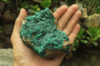 Natural Botryoidal Malachite Specimens x 3 From Tenke Fungurume, Congo - Toprock Gemstones and Minerals 