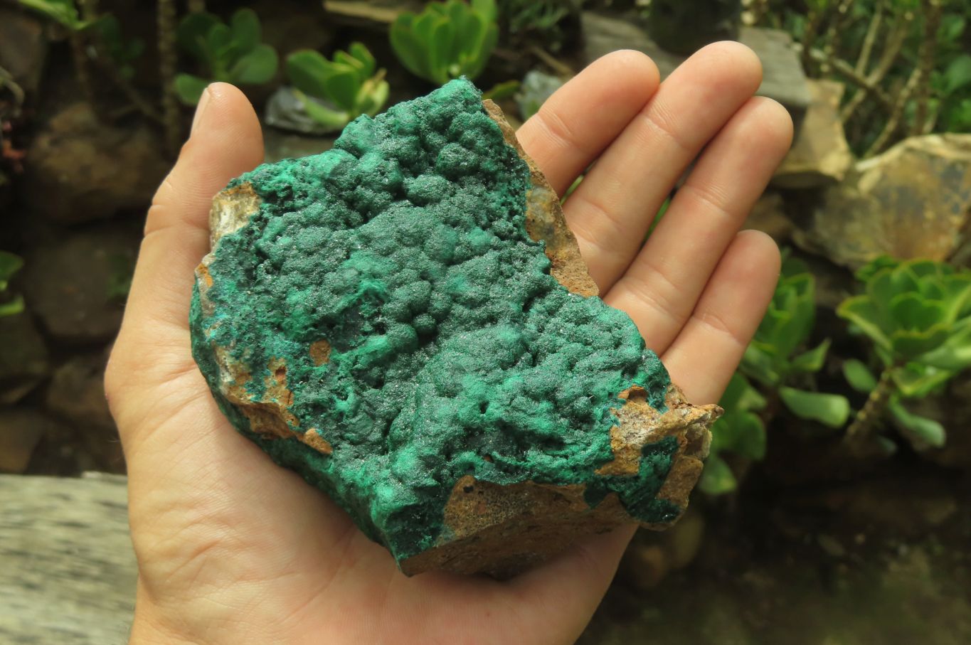 Natural Botryoidal Malachite Specimens x 3 From Tenke Fungurume, Congo - Toprock Gemstones and Minerals 