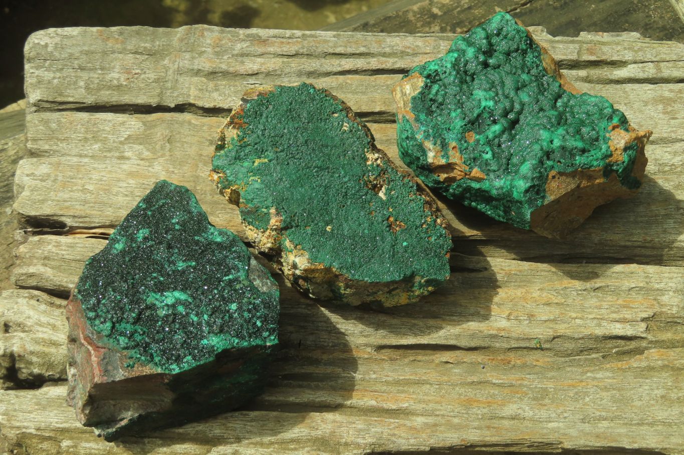 Natural Botryoidal Malachite Specimens x 3 From Tenke Fungurume, Congo - Toprock Gemstones and Minerals 