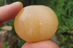 Polished Orange Twist Calcite Palm Stones x 20 From Madagascar - Toprock Gemstones and Minerals 