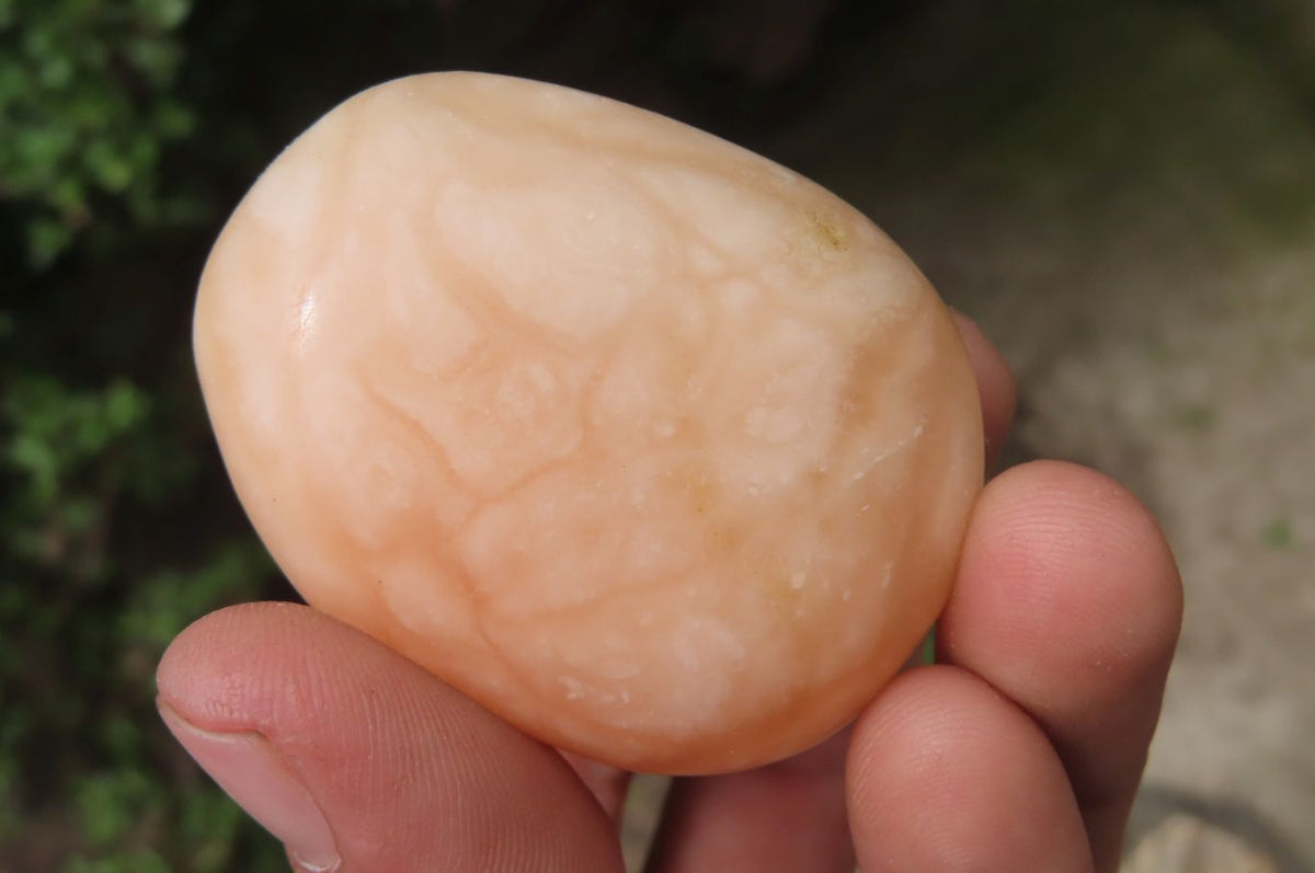Polished Orange Twist Calcite Palm Stones x 20 From Madagascar - Toprock Gemstones and Minerals 