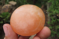Polished Orange Twist Calcite Palm Stones x 20 From Madagascar - Toprock Gemstones and Minerals 