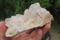 Natural Quartz Clusters x 5 From Madagascar - Toprock Gemstones and Minerals 
