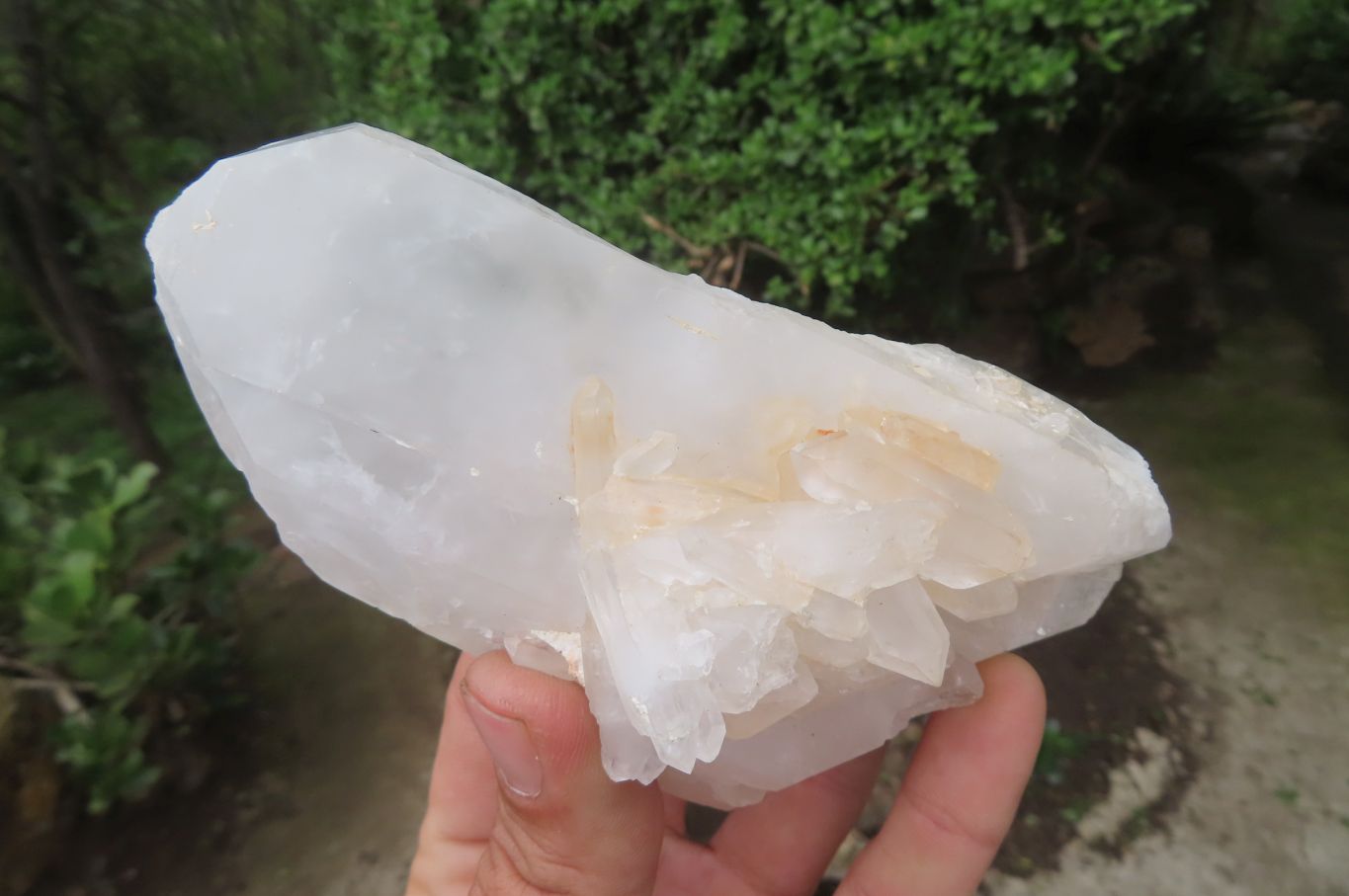 Natural Quartz Clusters x 5 From Madagascar - Toprock Gemstones and Minerals 