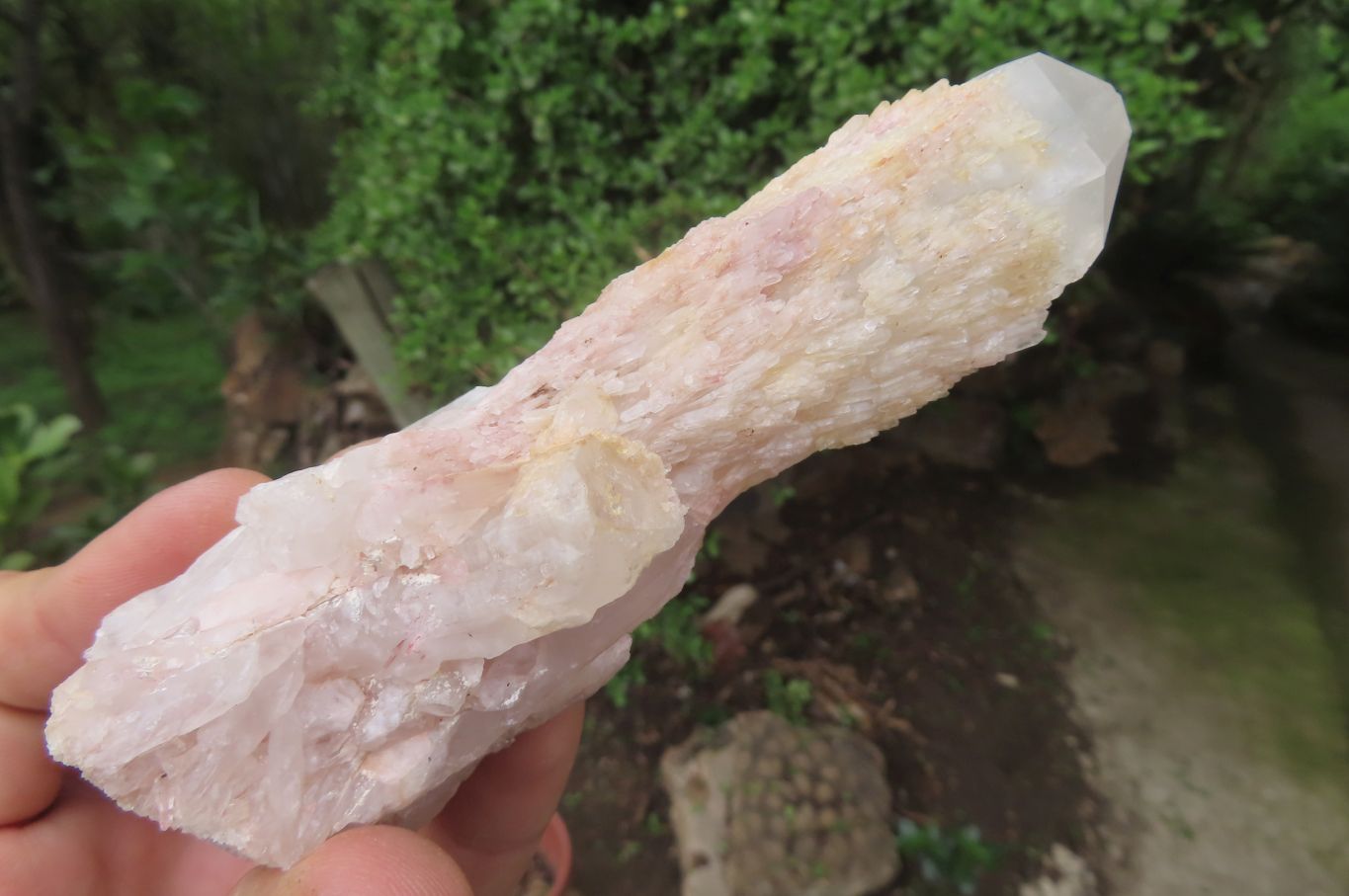 Natural Quartz Clusters x 5 From Madagascar - Toprock Gemstones and Minerals 