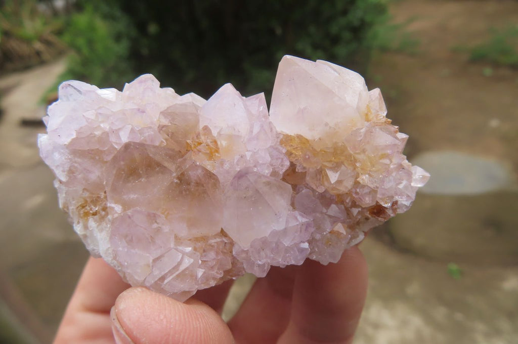 Natural Amethyst Spirit Quartz Clusters x 24 From Boekenhouthoek, South Africa - Toprock Gemstones and Minerals 