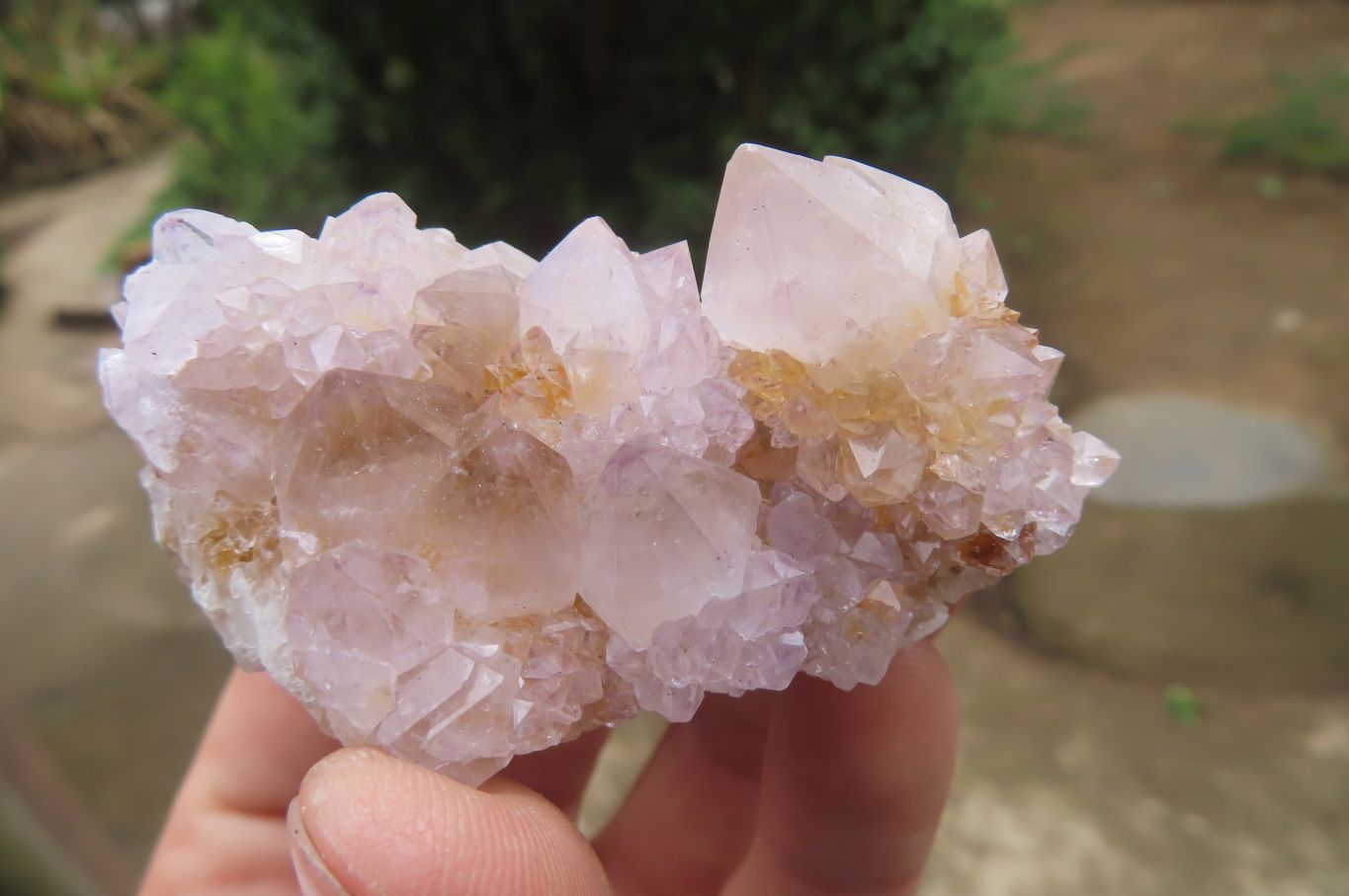 Natural Amethyst Spirit Quartz Clusters x 24 From Boekenhouthoek, South Africa - Toprock Gemstones and Minerals 