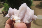 Natural Amethyst Spirit Quartz Clusters x 24 From Boekenhouthoek, South Africa - Toprock Gemstones and Minerals 