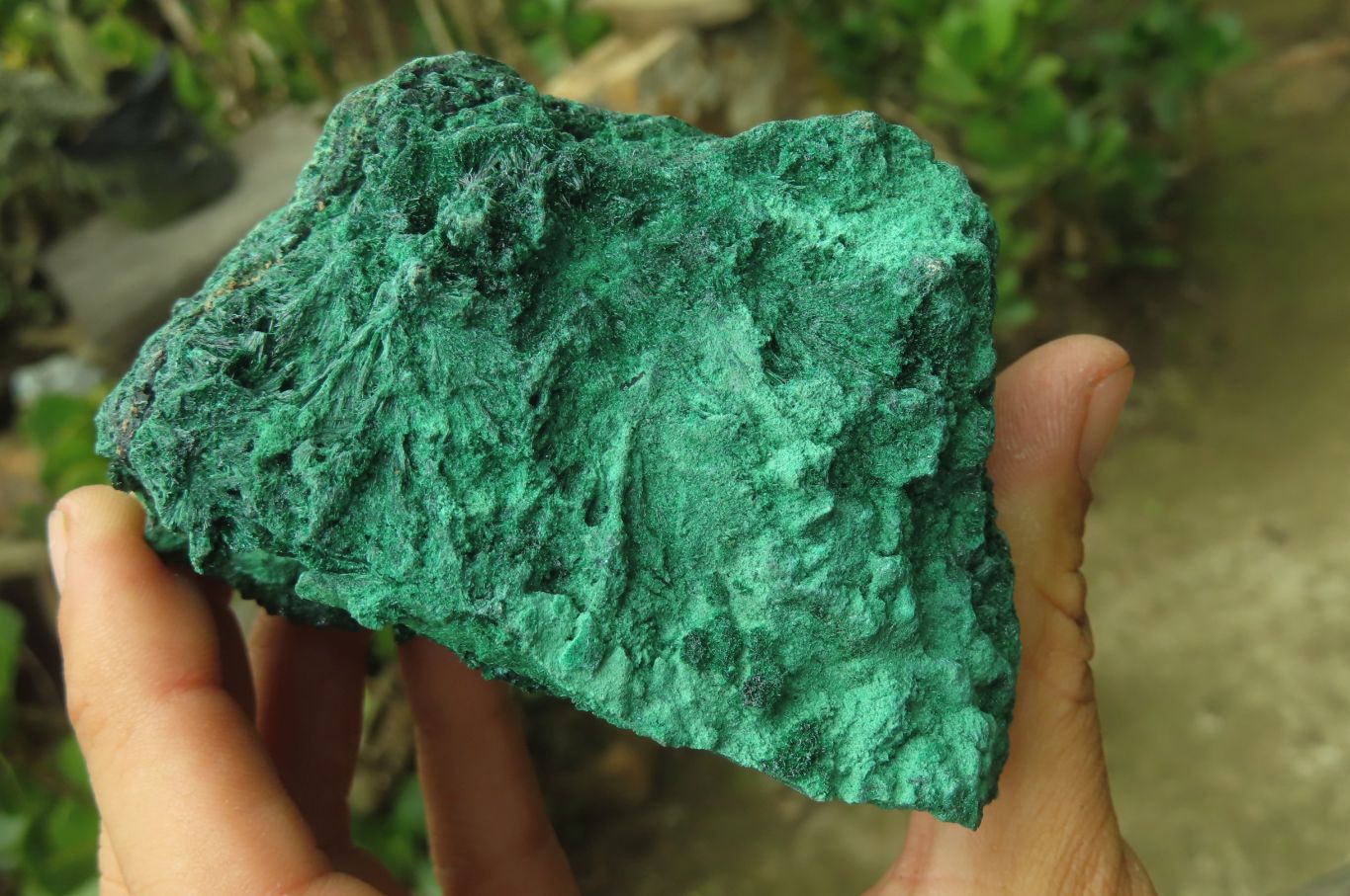 Natural Silky Malachite Specimens x 3 From Kasompe, Congo - Toprock Gemstones and Minerals 