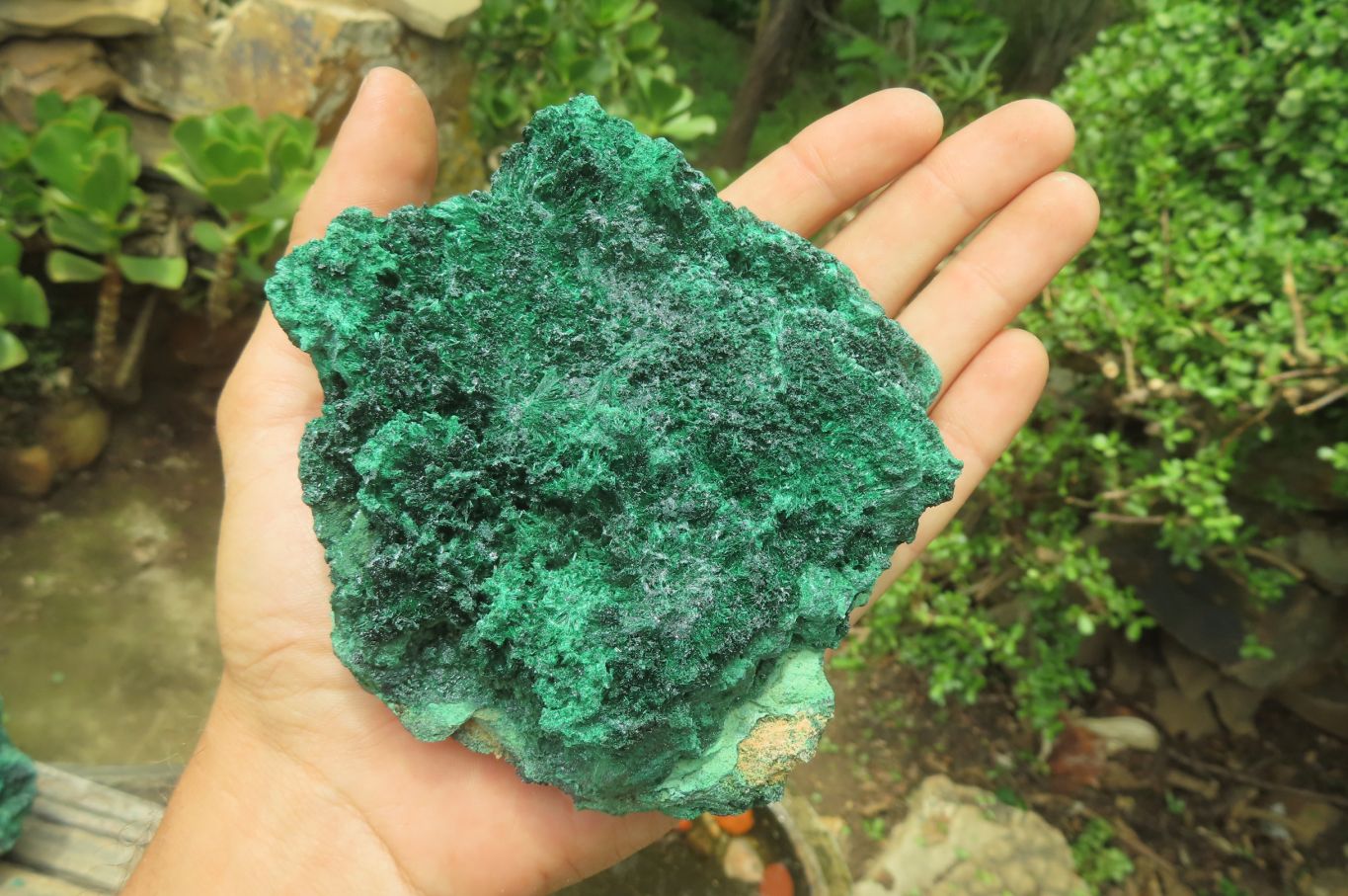 Natural Silky Malachite Specimens x 3 From Kasompe, Congo - Toprock Gemstones and Minerals 
