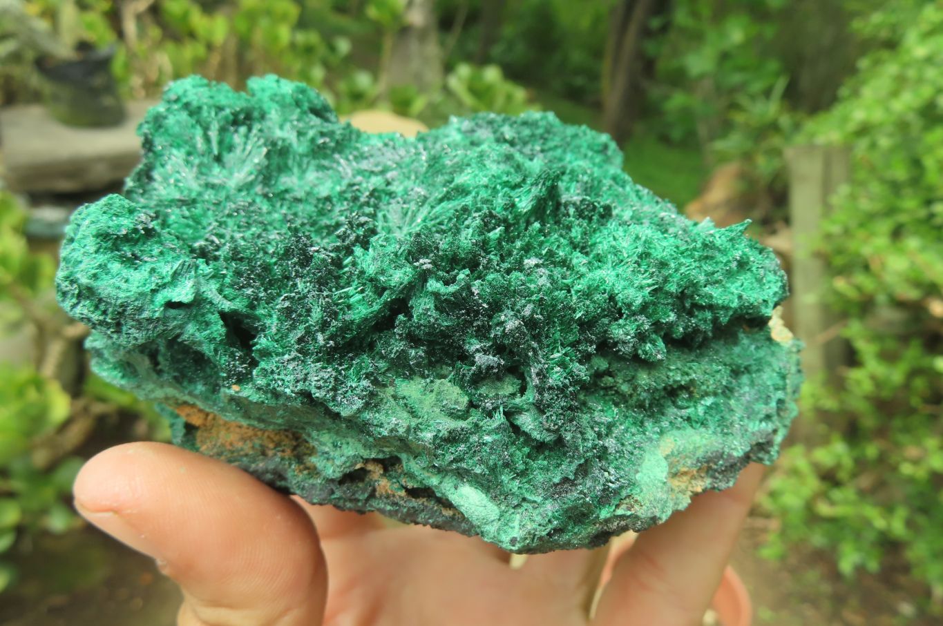 Natural Silky Malachite Specimens x 3 From Kasompe, Congo - Toprock Gemstones and Minerals 