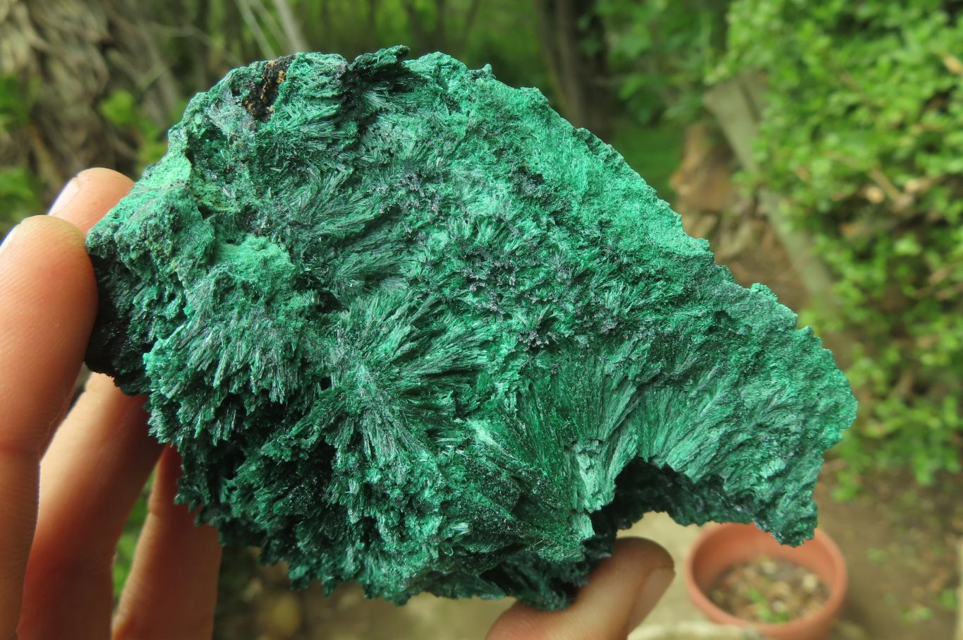 Natural Silky Malachite Specimens x 3 From Kasompe, Congo - Toprock Gemstones and Minerals 