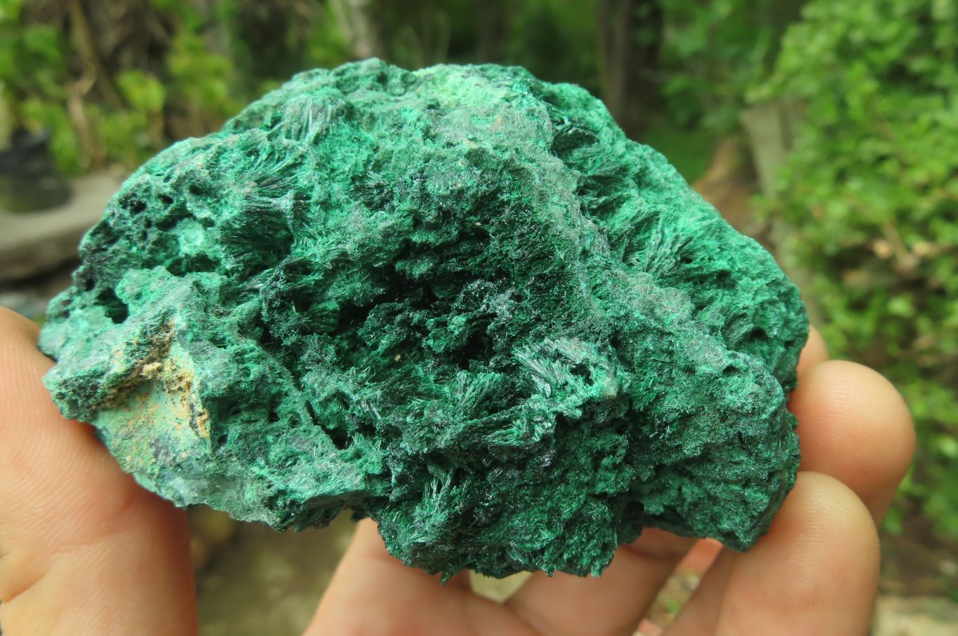 Natural Silky Malachite Specimens x 3 From Kasompe, Congo - Toprock Gemstones and Minerals 