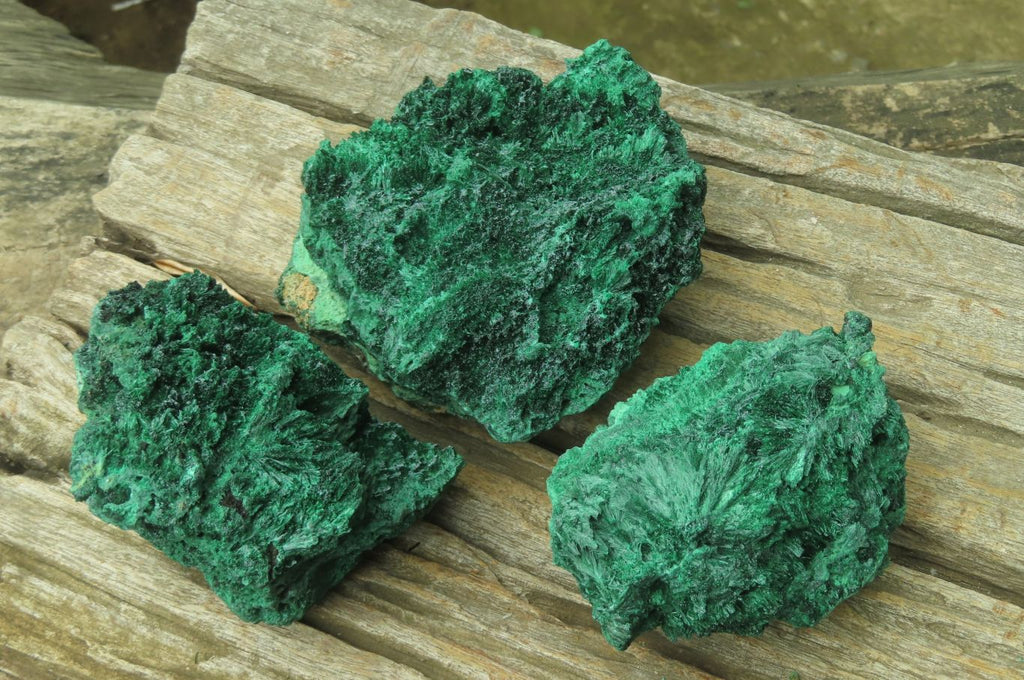 Natural Silky Malachite Specimens x 3 From Kasompe, Congo - Toprock Gemstones and Minerals 