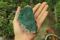 Natural Crystalline Malachite Specimens x 6 From Kasompe, Congo - Toprock Gemstones and Minerals 