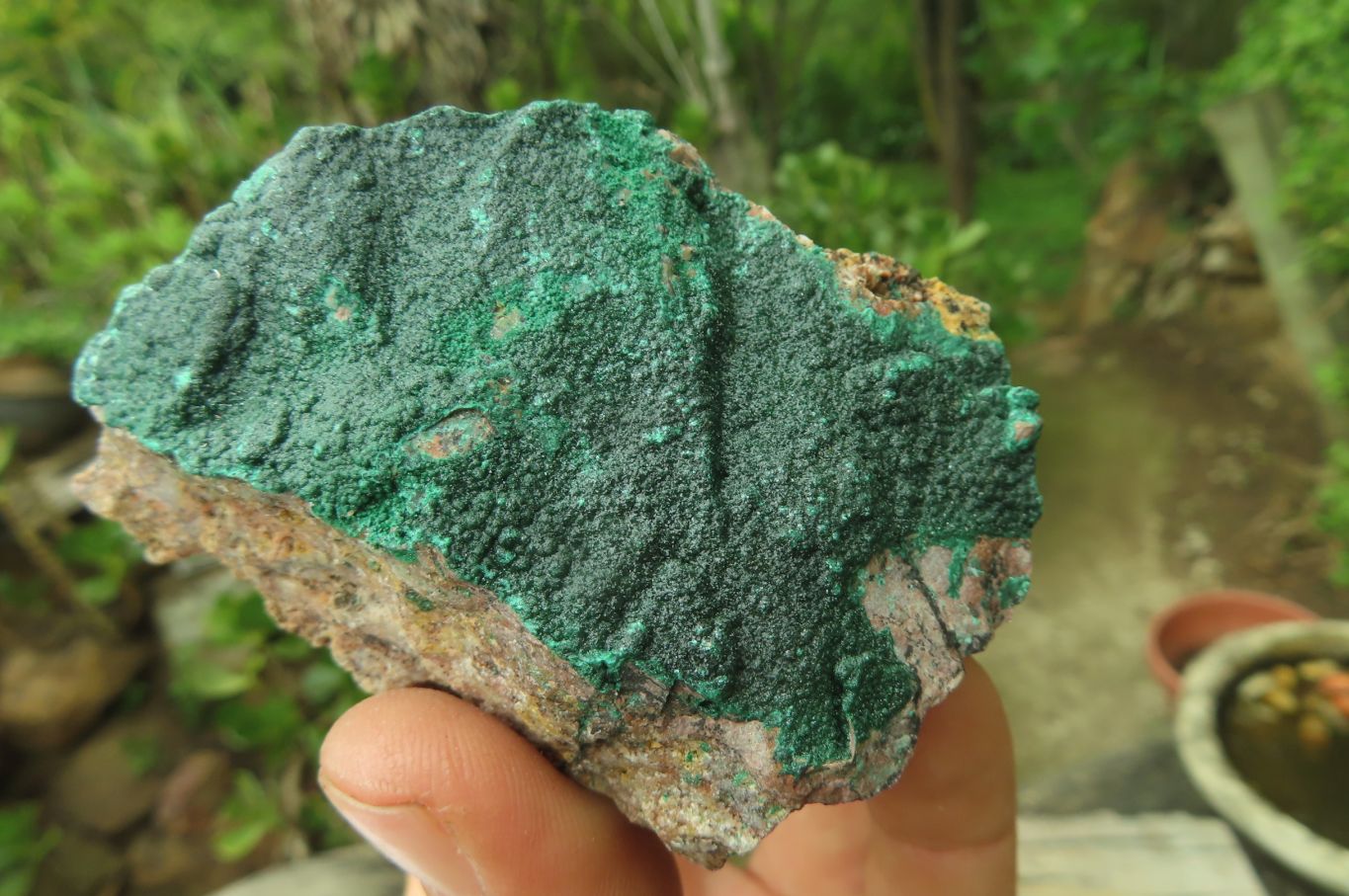 Natural Crystalline Malachite Specimens x 6 From Kasompe, Congo - Toprock Gemstones and Minerals 