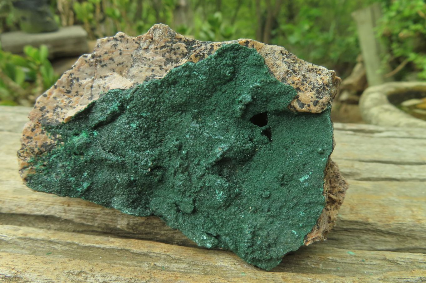 Natural Crystalline Malachite Specimens x 6 From Kasompe, Congo - Toprock Gemstones and Minerals 