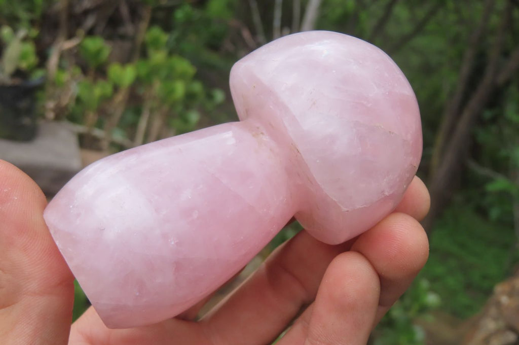 Polished Rose Quartz Mushroom Carvings x 6 From Madagascar - Toprock Gemstones and Minerals 