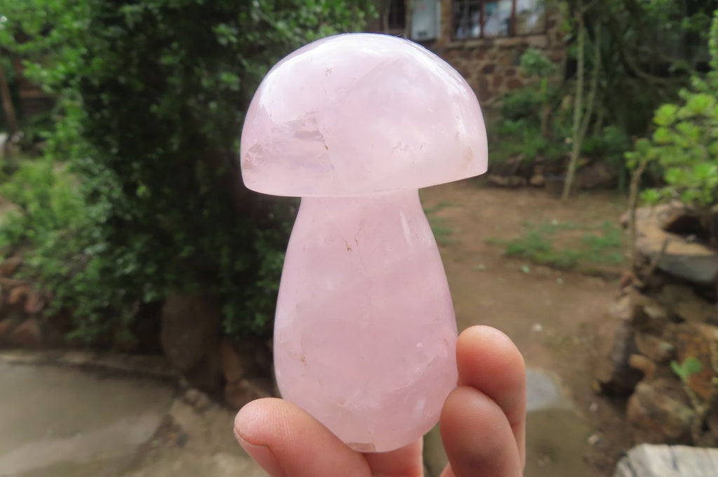 Polished Rose Quartz Mushroom Carvings x 6 From Madagascar - Toprock Gemstones and Minerals 