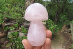 Polished Rose Quartz Mushroom Carvings x 6 From Madagascar - Toprock Gemstones and Minerals 