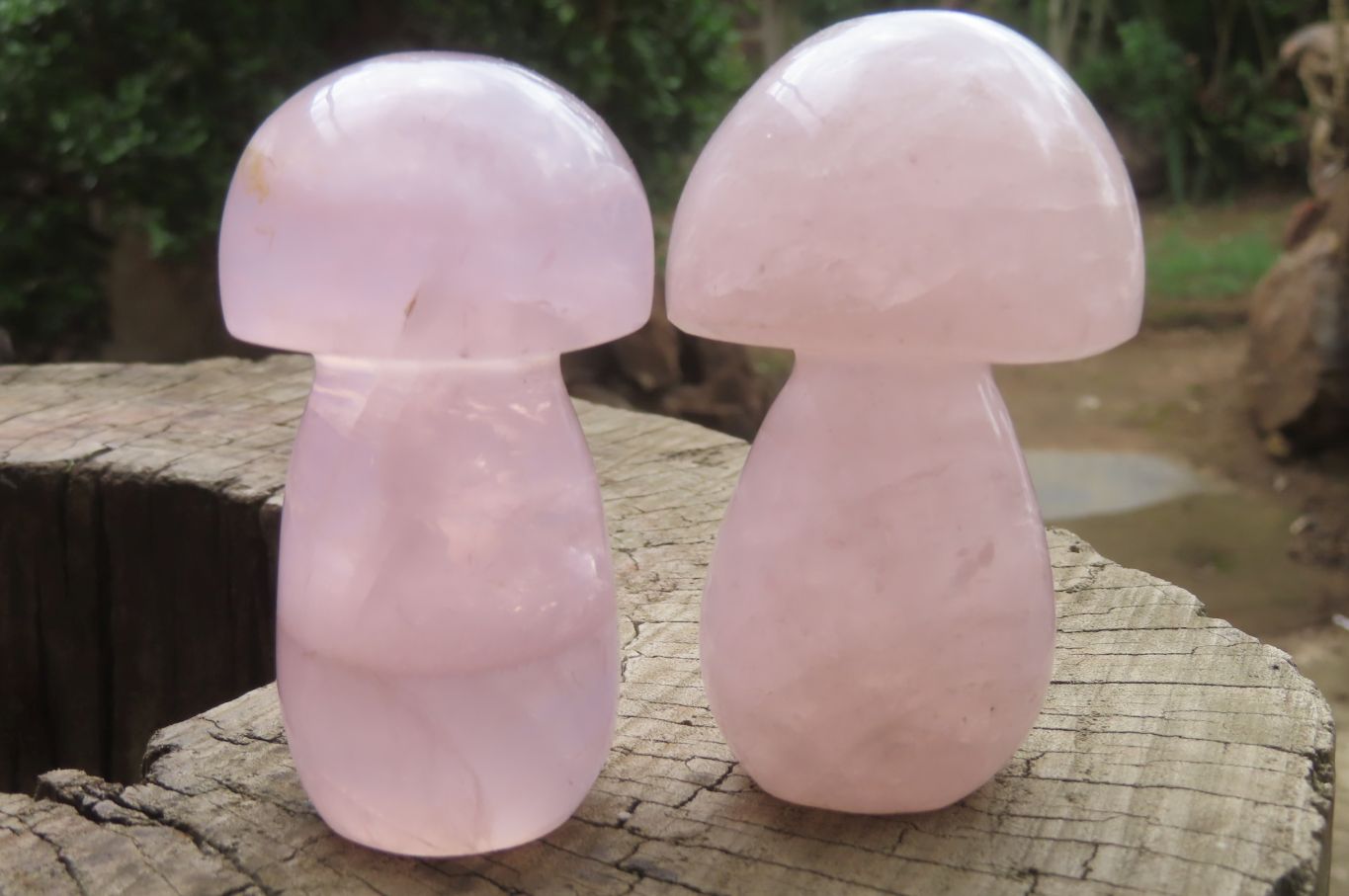 Polished Rose Quartz Mushroom Carvings x 6 From Madagascar - Toprock Gemstones and Minerals 