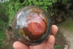 Polished Polychrome Jasper Spheres x 2 From Madagascar - Toprock Gemstones and Minerals 