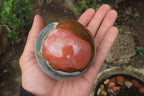 Polished Polychrome Jasper Spheres x 2 From Madagascar - Toprock Gemstones and Minerals 