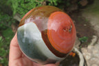 Polished Polychrome Jasper Spheres x 2 From Madagascar - Toprock Gemstones and Minerals 