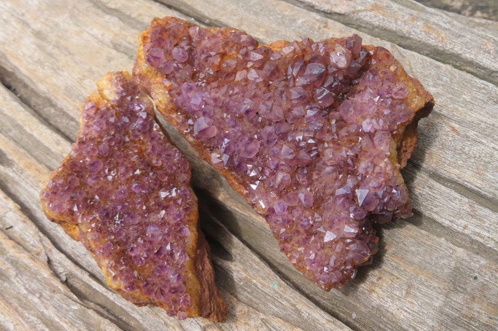 Natural Amethystos Amethyst Plates x 12 From Kwaggafontein, South Africa - Toprock Gemstones and Minerals 