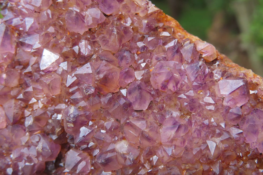 Natural Amethystos Amethyst Plates x 12 From Kwaggafontein, South Africa - Toprock Gemstones and Minerals 