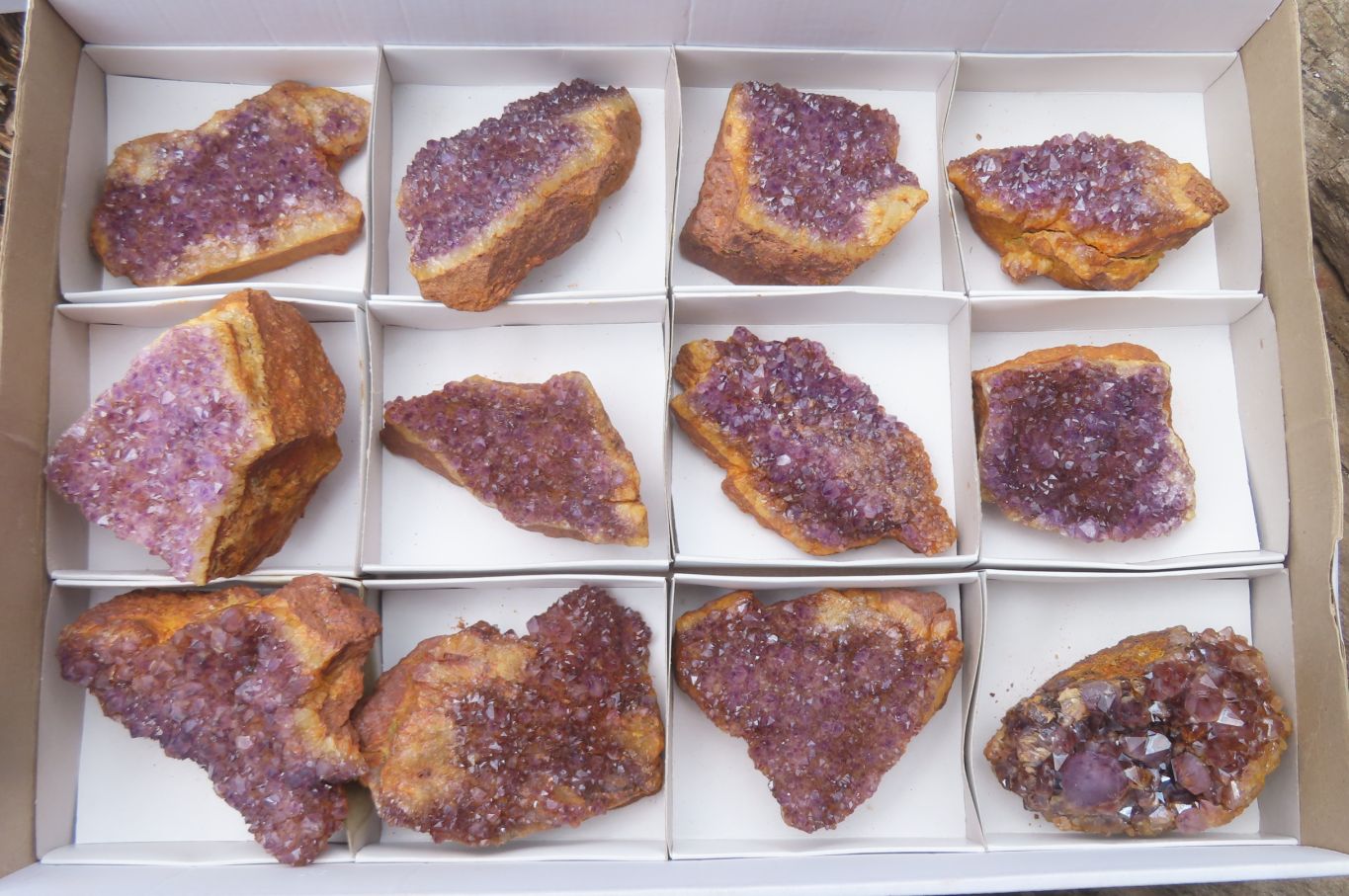 Natural Amethystos Amethyst Plates x 12 From Kwaggafontein, South Africa - Toprock Gemstones and Minerals 