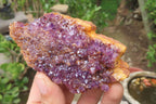 Natural Amethystos Amethyst Plates x 12 From Kwaggafontein, South Africa - Toprock Gemstones and Minerals 