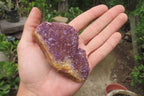 Natural Amethystos Amethyst Plates x 12 From Kwaggafontein, South Africa - Toprock Gemstones and Minerals 