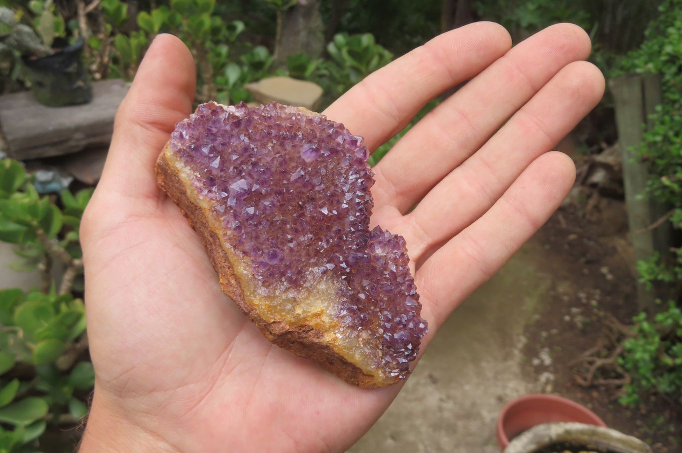 Natural Amethystos Amethyst Plates x 12 From Kwaggafontein, South Africa - Toprock Gemstones and Minerals 