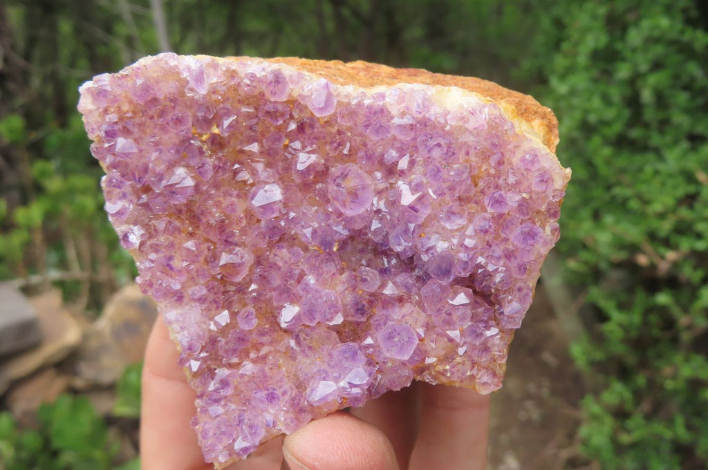 Natural Amethystos Amethyst Plates x 12 From Kwaggafontein, South Africa - Toprock Gemstones and Minerals 