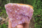 Natural Amethystos Amethyst Plates x 12 From Kwaggafontein, South Africa - Toprock Gemstones and Minerals 