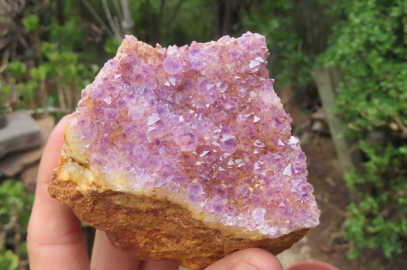 Natural Amethystos Amethyst Plates x 12 From Kwaggafontein, South Africa - Toprock Gemstones and Minerals 