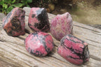 Polished On One Side Rhodonite x 5 From Madagascar - Toprock Gemstones and Minerals 