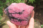 Polished On One Side Rhodonite x 5 From Madagascar - Toprock Gemstones and Minerals 