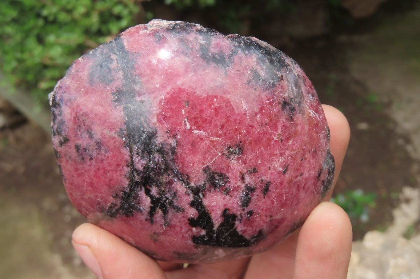 Polished On One Side Rhodonite x 5 From Madagascar - Toprock Gemstones and Minerals 