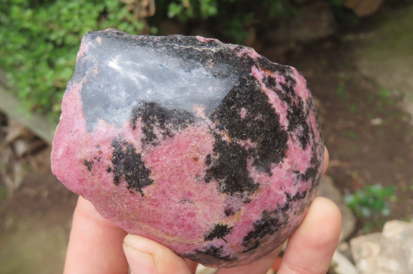 Polished On One Side Rhodonite x 5 From Madagascar - Toprock Gemstones and Minerals 