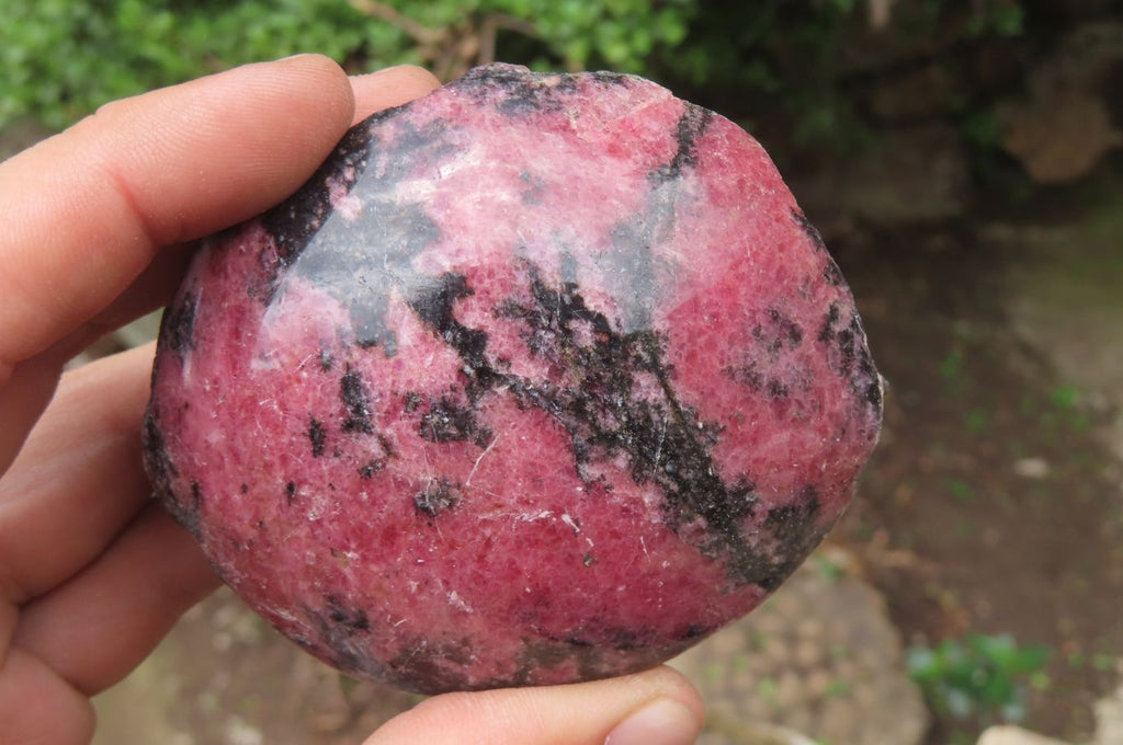 Polished On One Side Rhodonite x 5 From Madagascar - Toprock Gemstones and Minerals 