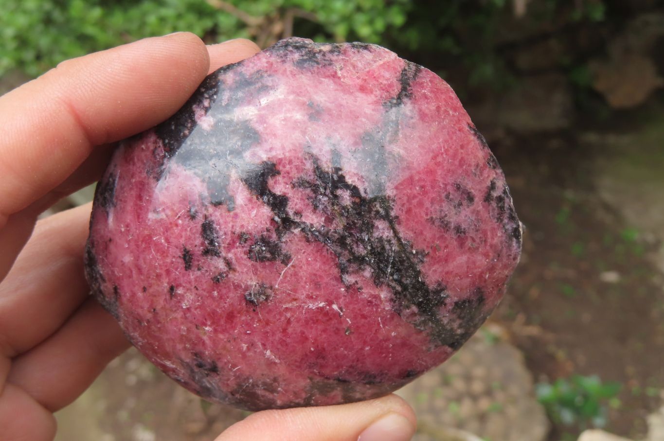 Polished On One Side Rhodonite x 5 From Madagascar - Toprock Gemstones and Minerals 