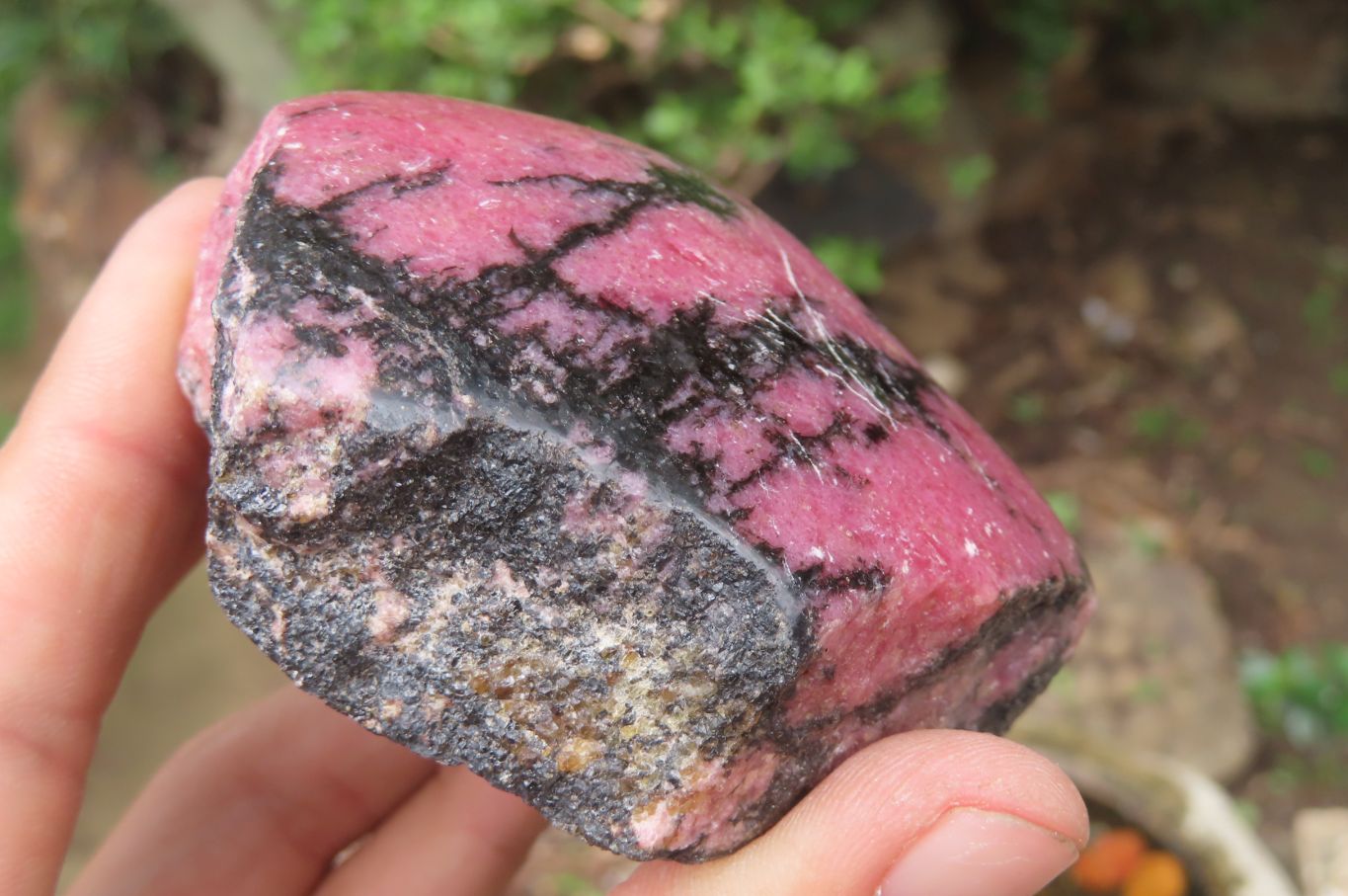 Polished On One Side Rhodonite x 5 From Madagascar - Toprock Gemstones and Minerals 