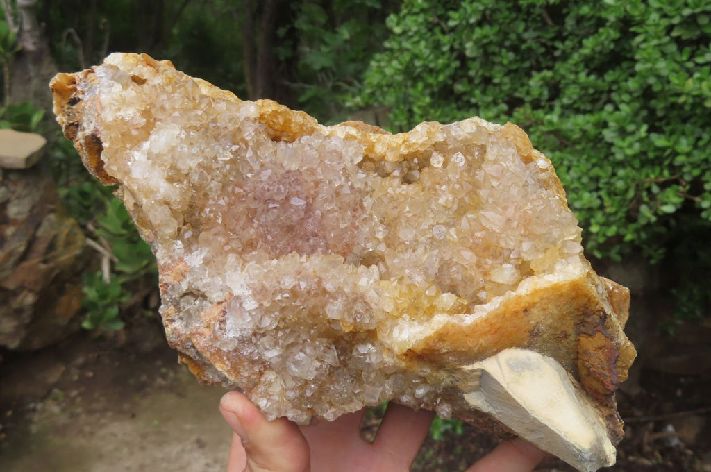 Natural Limonite Quartz Geode Specimens x 3 From Zambia - Toprock Gemstones and Minerals 