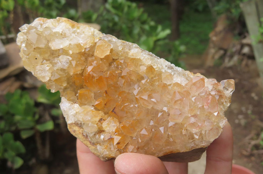 Natural Limonite Quartz Geode Specimens x 3 From Zambia - Toprock Gemstones and Minerals 