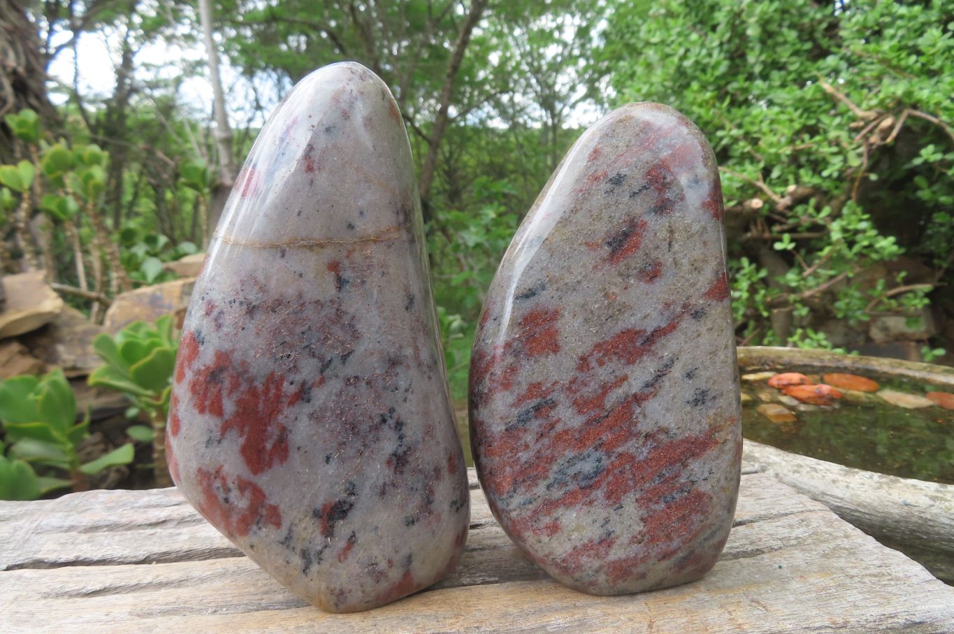 Polished Copper Sunstone Matrix Standing Free Forms x 2 From Madagascar - Toprock Gemstones and Minerals 