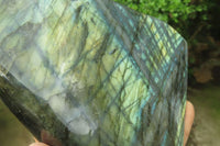 Polished Labradorite Standing Free Form x 1 From Tulear, Madagascar - Toprock Gemstones and Minerals 