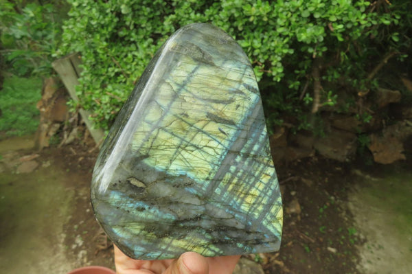 Polished Labradorite Standing Free Form x 1 From Tulear, Madagascar - Toprock Gemstones and Minerals 