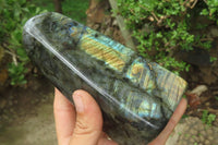 Polished Labradorite Standing Free Forms x 3 From Tulear, Madagascar - Toprock Gemstones and Minerals 